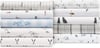 Eddie Bauer  Twin Sheets Cotton Percale Bedding Set Crisp amp Cool Home Decor Eddies Oar 3 pieces Twin White and BlueFull Fishing Flies WhiteMulti