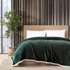 Eddie Bauer  Queen Blanket Soft Fleece Bedding with Sherpa Reverse Plush Home Decor Chrome Grey QueenGreen