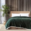 Eddie Bauer  Twin Blanket Reversible Fleece ampamp Faux Shearling Bedding Plush Home Decor Solid Green TwinGreen