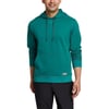 Eddie Bauer Mens Everyday Pullover HoodieTall Seamoss