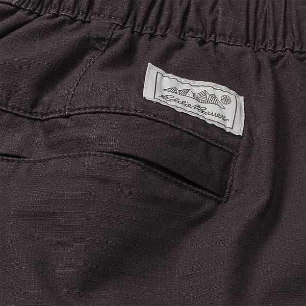 Eddie Bauer Mens Top Out Ripstop PantsVapour