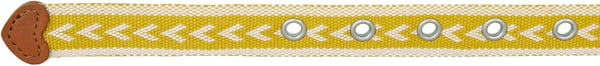 Eddie Bauer Womens Cascade Grommet Webbing Belt with Metal BuckleDark Marigold