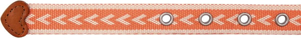 Eddie Bauer Womens Cascade Grommet Webbing Belt with Metal BuckleCoral