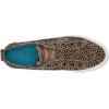 imageBlowfish Womens Blume Wedge SandalNatural Micro Pixie Cat Canvas