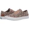 imageBlowfish Malibu Womens Legacy MarleyLatte Spots Print Canvas
