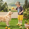 image:imageHOBIBEAR Toddler Kids Shoes Classic Retro Trainers for Boys Girl Wide Toe Box Barefoot Shoes OutdoorYellow