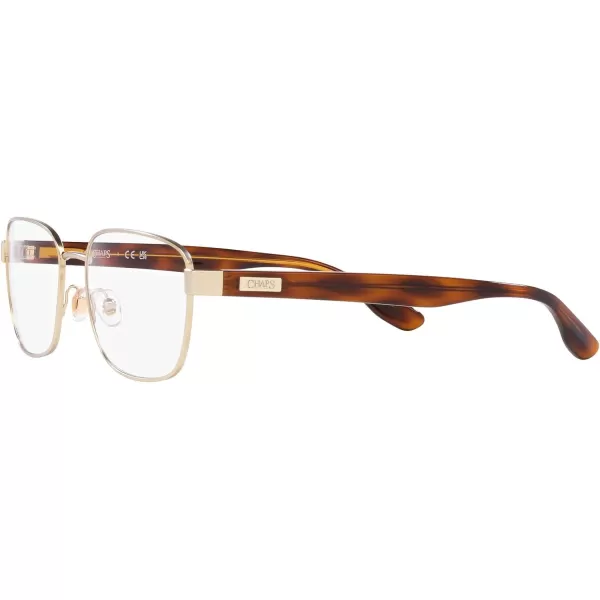 Chaps Men's Cp2101 Square Prescription Eyewear Frames