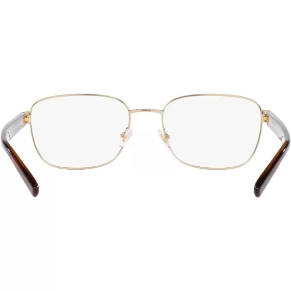 Chaps Men's Cp2101 Square Prescription Eyewear Frames