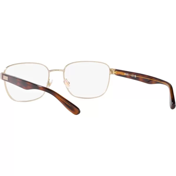 Chaps Men's Cp2101 Square Prescription Eyewear Frames