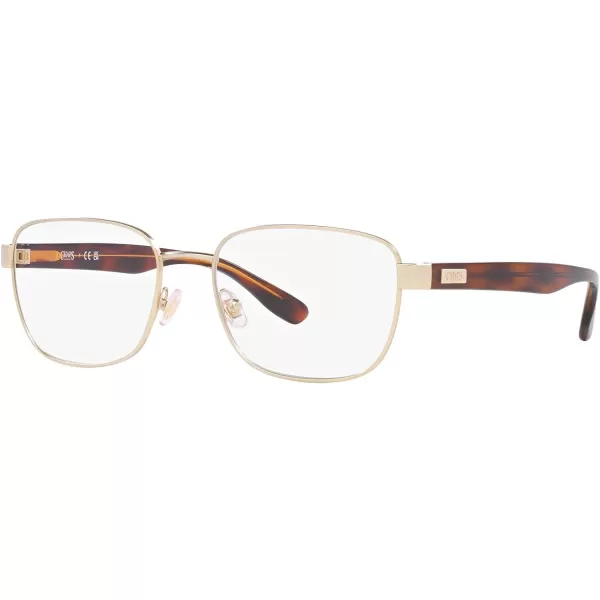 Chaps Men's Cp2101 Square Prescription Eyewear Frames