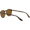 imageChaps Mens CP5002 Round Sunglasses Shiny Dark HavanaBrown Polarized 50 mm