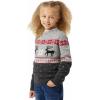 imageChaps Kids Crewneck Family Holiday Christmas Sweater US Alpha Medium Regular Gray
