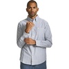 Evergreen Stripe