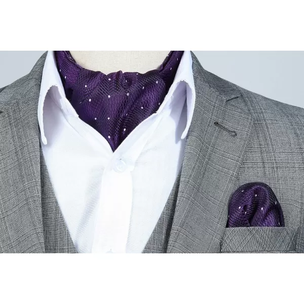 HISDERN Ascot Tie Mens Cravat Ties Floral Paisley Polka Dot Jacquard Self Ascots Cravat Scarf Wedding Party