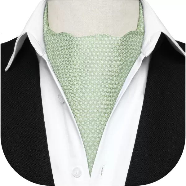 HISDERN Ascot Tie Mens Cravat Ties Floral Paisley Polka Dot Jacquard Self Ascots Cravat Scarf Wedding Party