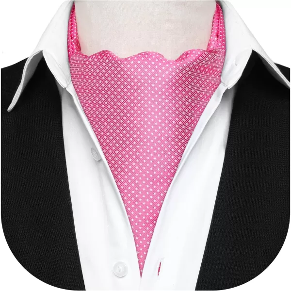 HISDERN Ascot Tie Mens Cravat Ties Floral Paisley Polka Dot Jacquard Self Ascots Cravat Scarf Wedding Party