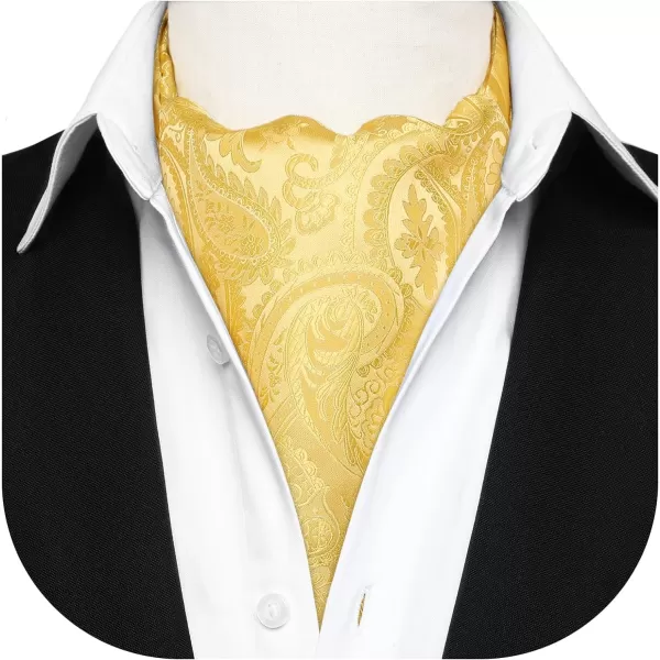 HISDERN Ascot Tie Mens Cravat Ties Floral Paisley Polka Dot Jacquard Self Ascots Cravat Scarf Wedding Party