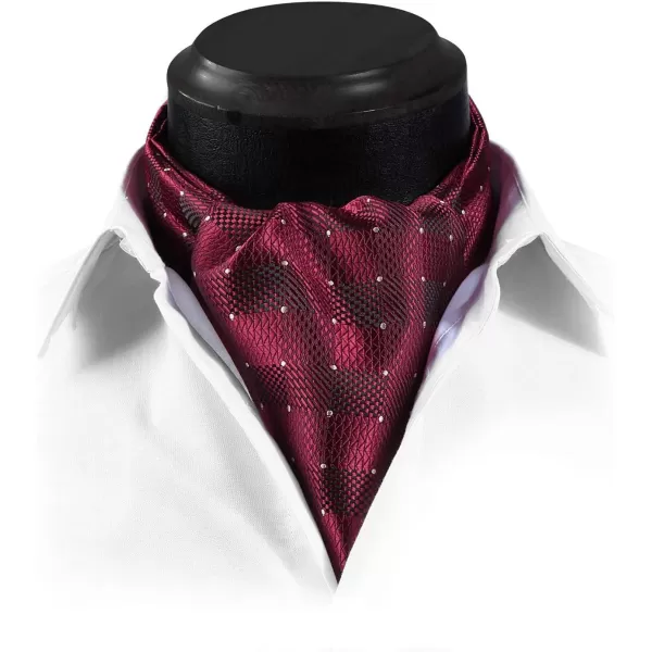 HISDERN Ascot Tie Mens Cravat Ties Floral Paisley Polka Dot Jacquard Self Ascots Cravat Scarf Wedding Party