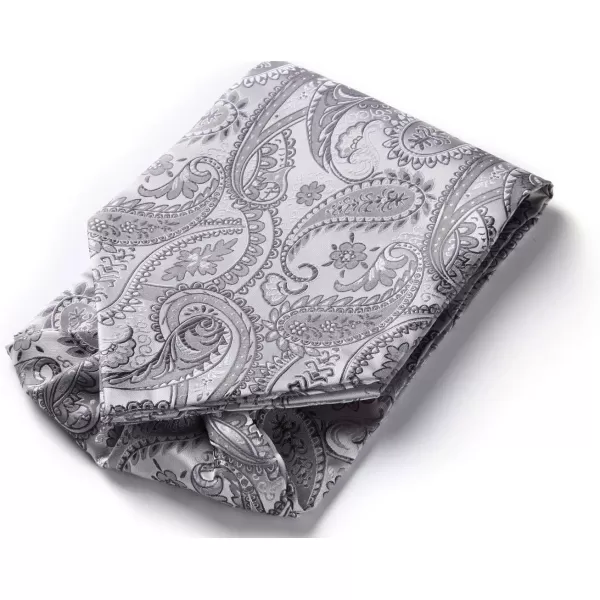 HISDERN Ascot Tie Mens Cravat Ties Floral Paisley Polka Dot Jacquard Self Ascots Cravat Scarf Wedding Party