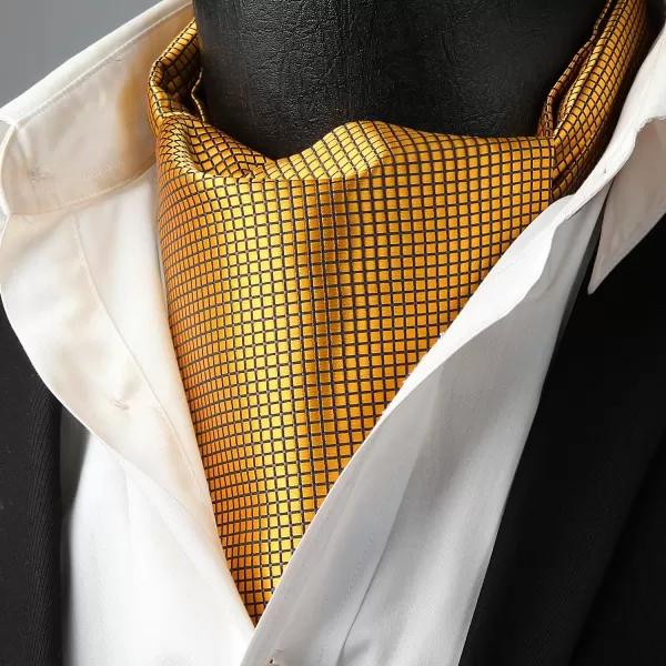HISDERN Ascot Tie Mens Cravat Ties Floral Paisley Polka Dot Jacquard Self Ascots Cravat Scarf Wedding Party