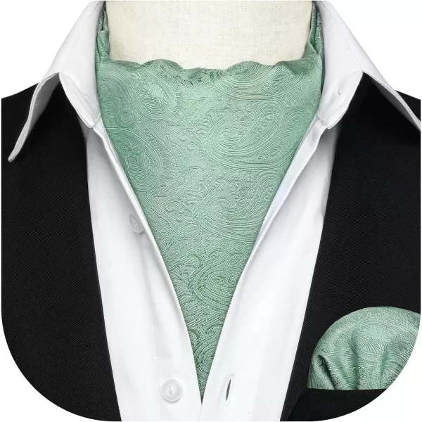 HISDERN Ascot Ties for Men Paisley Cravat Tie and Pocket Square Set Floral Mens Ascot Scarf Handkerchief Wedding Party