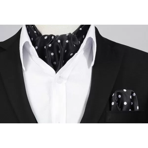HISDERN Ascot Ties for Men Paisley Cravat Tie and Pocket Square Set Floral Mens Ascot Scarf Handkerchief Wedding Party