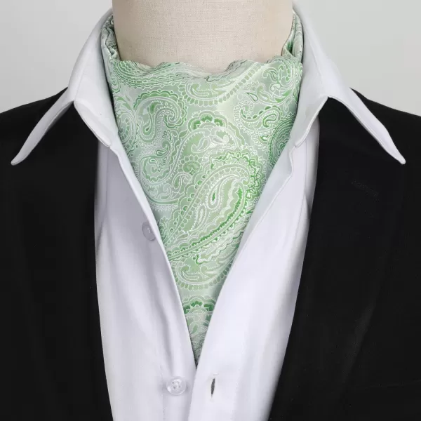 HISDERN Ascot Ties for Men Paisley Cravat Tie and Pocket Square Set Floral Mens Ascot Scarf Handkerchief Wedding Party