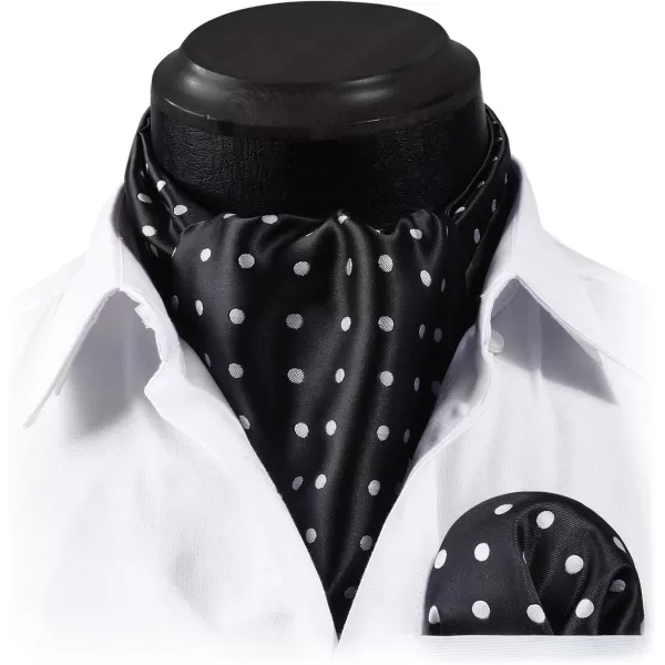 HISDERN Ascot Ties for Men Paisley Cravat Tie and Pocket Square Set Floral Mens Ascot Scarf Handkerchief Wedding Party