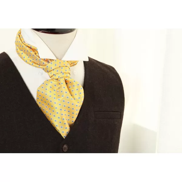 HISDERN Ascot Ties for Men Paisley Cravat Tie and Pocket Square Set Floral Mens Ascot Scarf Handkerchief Wedding Party