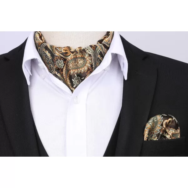 HISDERN Ascot Ties for Men Paisley Cravat Tie and Pocket Square Set Floral Mens Ascot Scarf Handkerchief Wedding Party