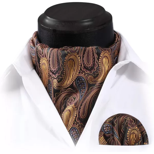 HISDERN Ascot Ties for Men Paisley Cravat Tie and Pocket Square Set Floral Mens Ascot Scarf Handkerchief Wedding Party