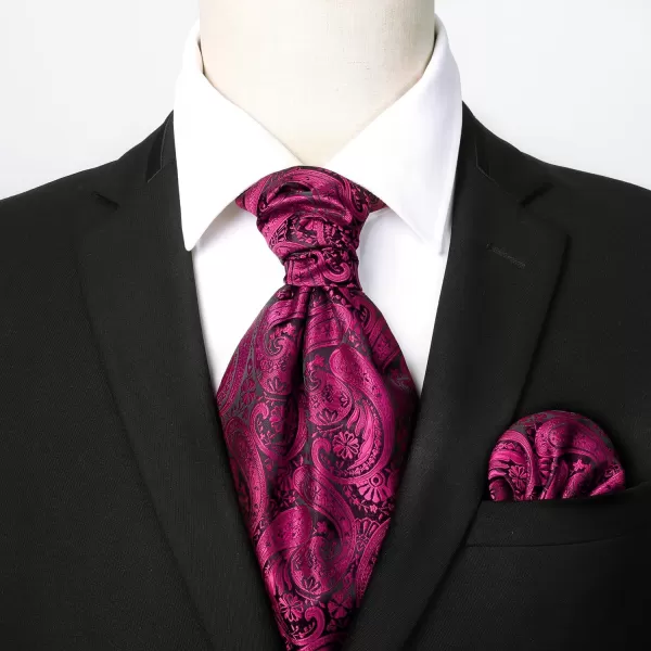 HISDERN Ascot Ties for Men Paisley Cravat Tie and Pocket Square Set Floral Mens Ascot Scarf Handkerchief Wedding Party