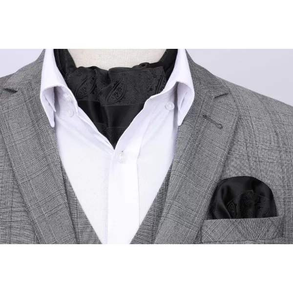 HISDERN Ascot Ties for Men Paisley Cravat Tie and Pocket Square Set Floral Mens Ascot Scarf Handkerchief Wedding Party