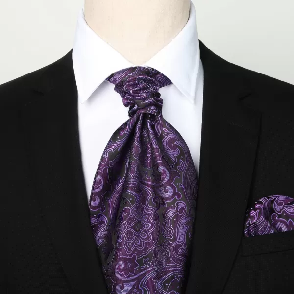HISDERN Ascot Ties for Men Paisley Cravat Tie and Pocket Square Set Floral Mens Ascot Scarf Handkerchief Wedding Party