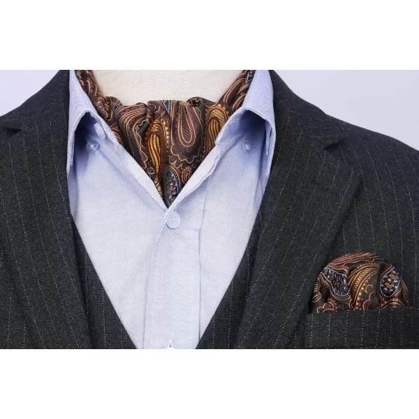 HISDERN Ascot Ties for Men Paisley Cravat Tie and Pocket Square Set Floral Mens Ascot Scarf Handkerchief Wedding Party