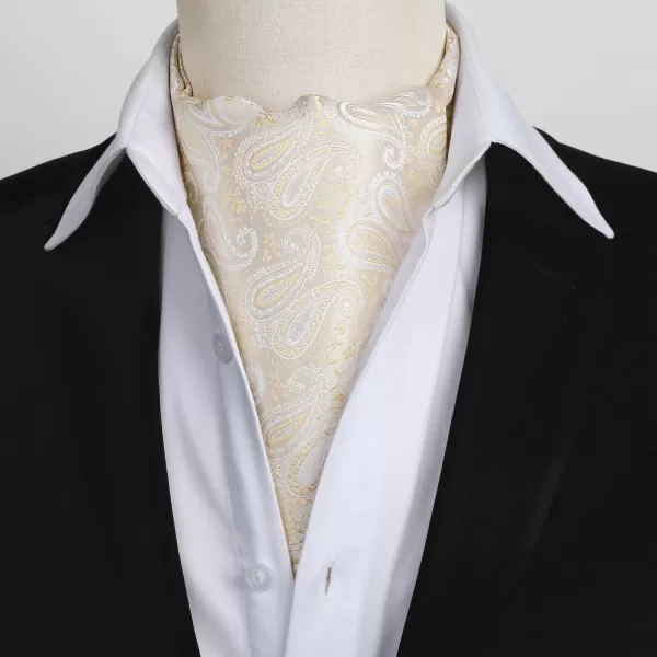 HISDERN Ascot Ties for Men Paisley Cravat Tie and Pocket Square Set Floral Mens Ascot Scarf Handkerchief Wedding Party