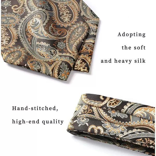 HISDERN Ascot Ties for Men Paisley Cravat Tie and Pocket Square Set Floral Mens Ascot Scarf Handkerchief Wedding Party