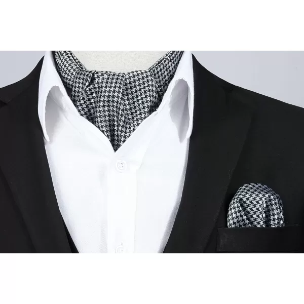 HISDERN Ascot Ties for Men Paisley Cravat Tie and Pocket Square Set Floral Mens Ascot Scarf Handkerchief Wedding Party