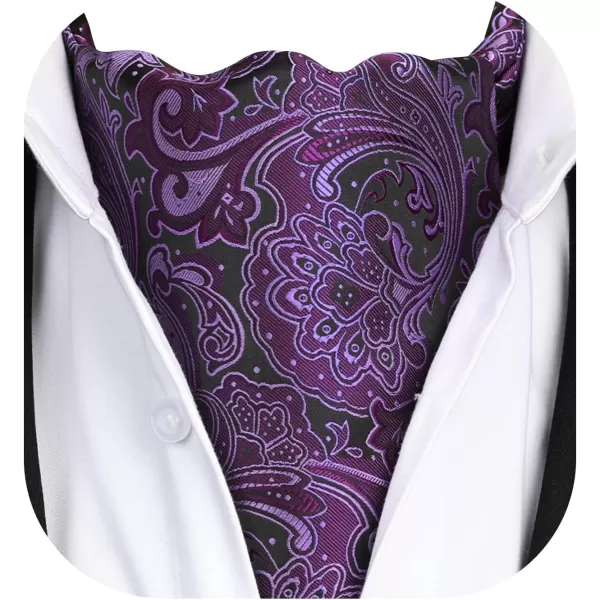 HISDERN Ascot Ties for Men Paisley Cravat Tie and Pocket Square Set Floral Mens Ascot Scarf Handkerchief Wedding Party