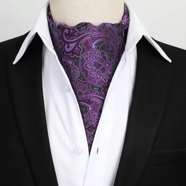 HISDERN Ascot Ties for Men Paisley Cravat Tie and Pocket Square Set Floral Mens Ascot Scarf Handkerchief Wedding Party