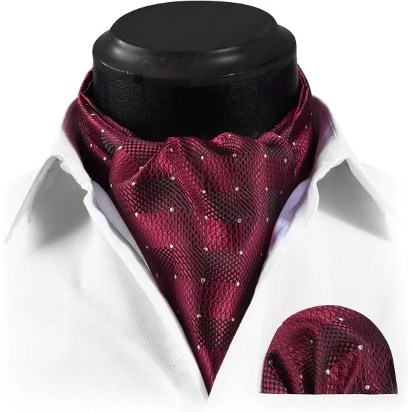 HISDERN Ascot Ties for Men Paisley Cravat Tie and Pocket Square Set Floral Mens Ascot Scarf Handkerchief Wedding Party