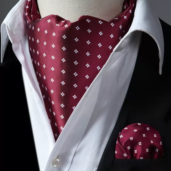 HISDERN Ascot Ties for Men Paisley Cravat Tie and Pocket Square Set Floral Mens Ascot Scarf Handkerchief Wedding Party
