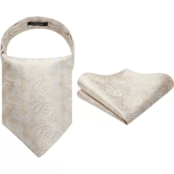HISDERN Ascot Ties for Men Paisley Cravat Tie and Pocket Square Set Floral Mens Ascot Scarf Handkerchief Wedding Party