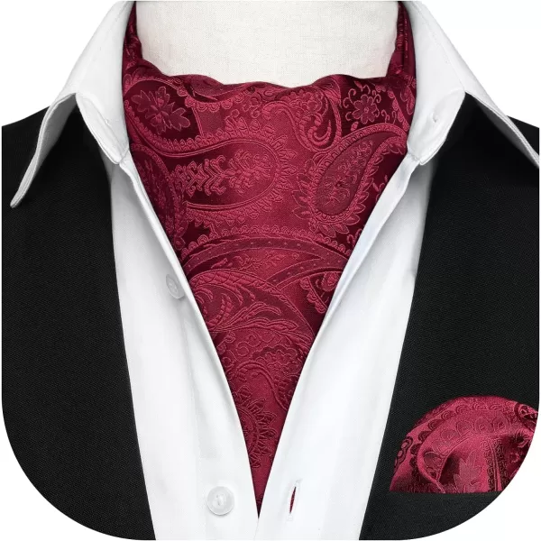 HISDERN Ascot Ties for Men Paisley Cravat Tie and Pocket Square Set Floral Mens Ascot Scarf Handkerchief Wedding Party