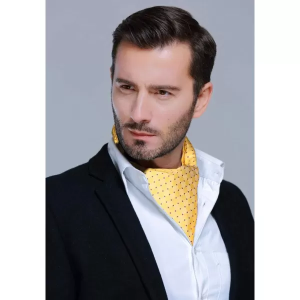 HISDERN Ascot Ties for Men Paisley Cravat Tie and Pocket Square Set Floral Mens Ascot Scarf Handkerchief Wedding Party