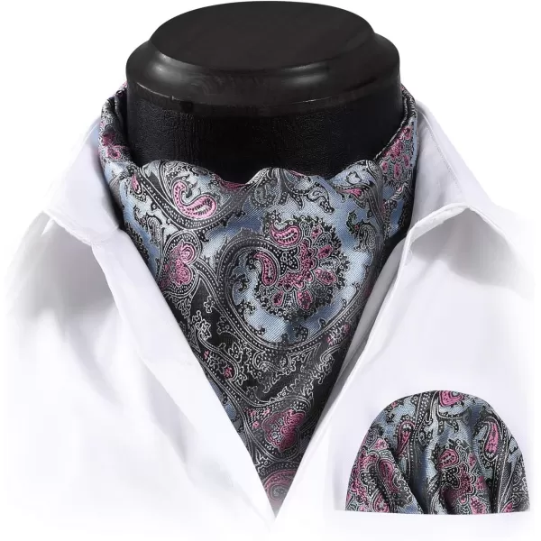 HISDERN Ascot Ties for Men Paisley Cravat Tie and Pocket Square Set Floral Mens Ascot Scarf Handkerchief Wedding Party