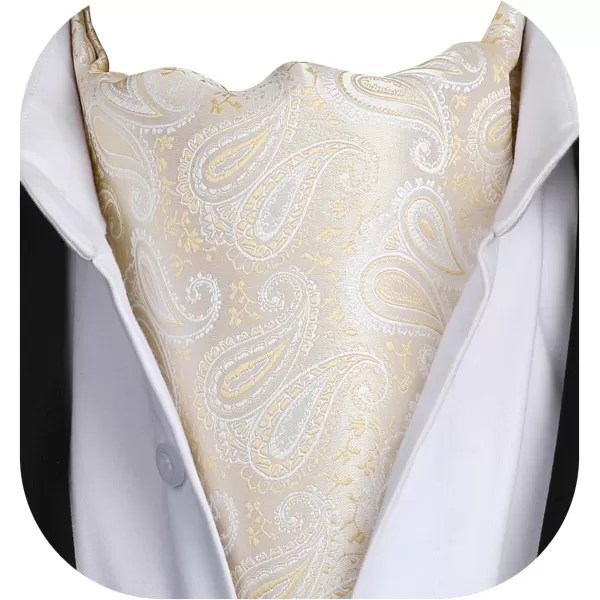 HISDERN Ascot Ties for Men Paisley Cravat Tie and Pocket Square Set Floral Mens Ascot Scarf Handkerchief Wedding Party
