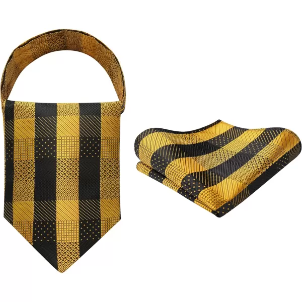 HISDERN Ascot Ties for Men Paisley Cravat Tie and Pocket Square Set Floral Mens Ascot Scarf Handkerchief Wedding Party