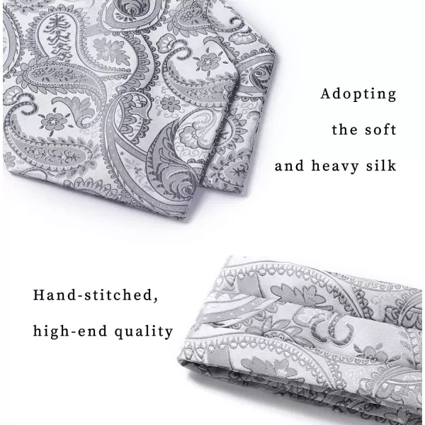 HISDERN Ascot Ties for Men Paisley Cravat Tie and Pocket Square Set Floral Mens Ascot Scarf Handkerchief Wedding Party