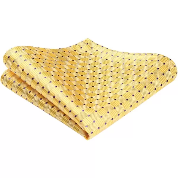 HISDERN Ascot Ties for Men Paisley Cravat Tie and Pocket Square Set Floral Mens Ascot Scarf Handkerchief Wedding Party